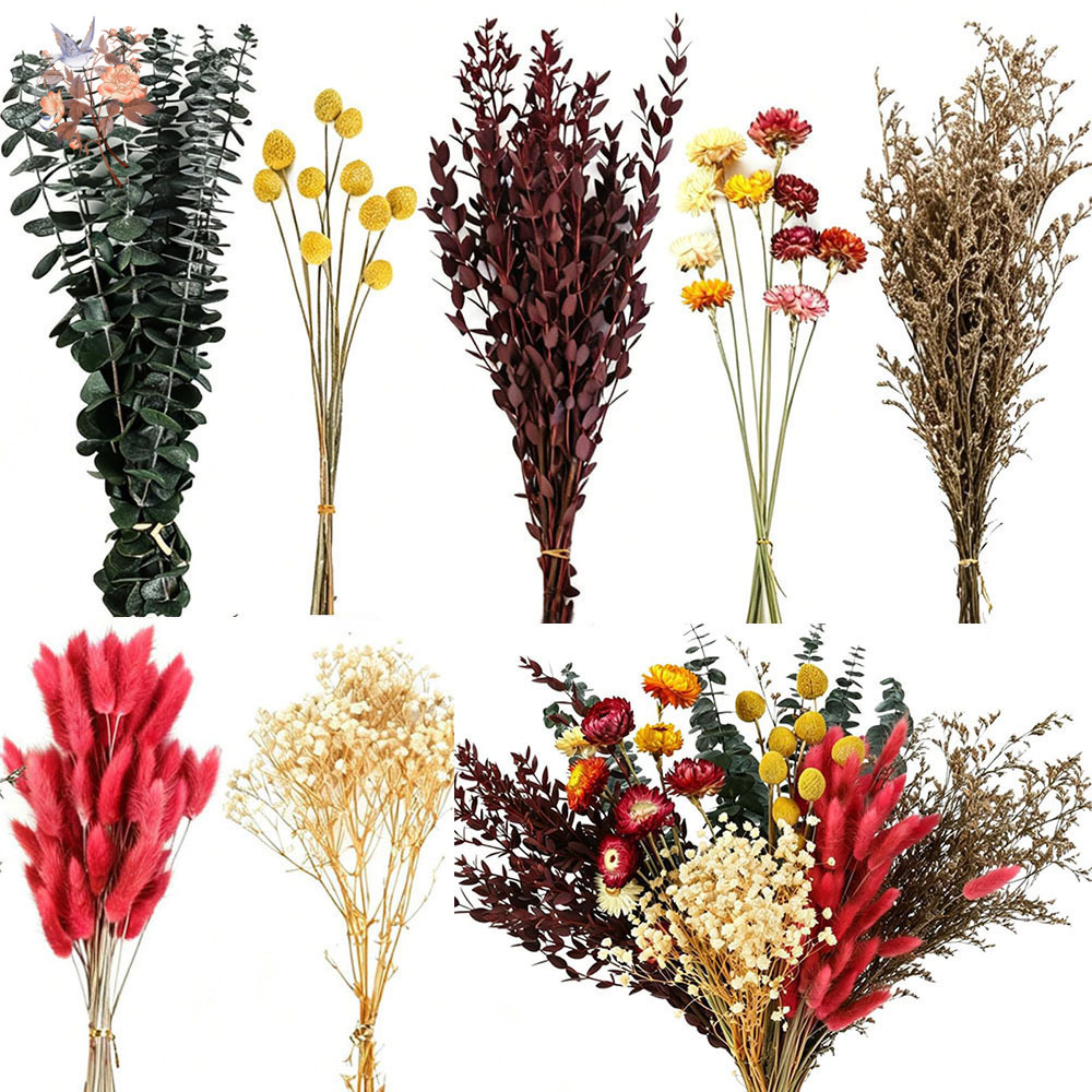Wedding Supply In Bulk - Dried Flowers Bulk Set 7 Kinds