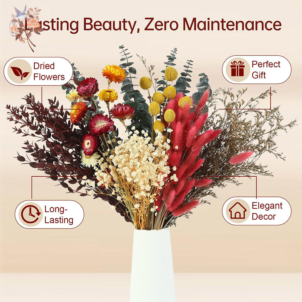 Dried Flowers Bulk Set 7 Kinds - đánh giá và giá Wedding Supply In Bulk